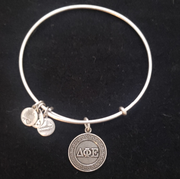 Alex and Ani Rafaelian Silver Delta Phi Epsilon 2012 - Picture 6 of 8